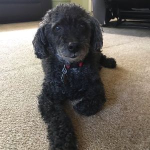 Meet your Posher, Gabrielle